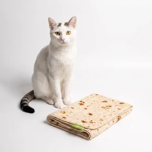 Кошки