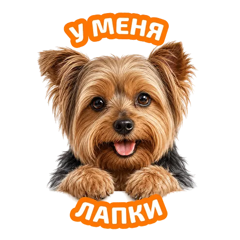 Стикер 6